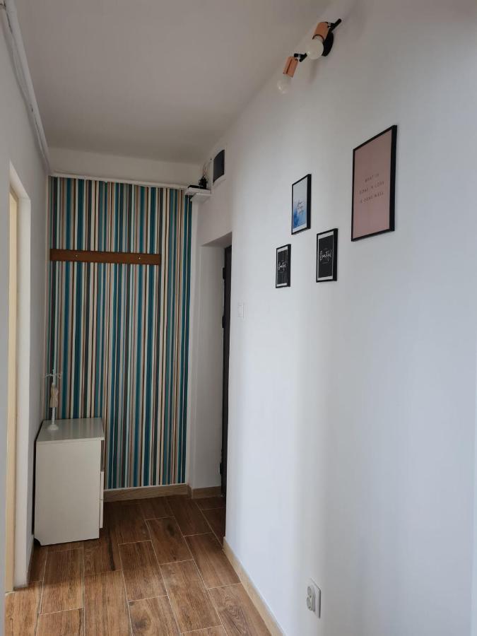 Dddd Apartament Cavnic Exteriör bild