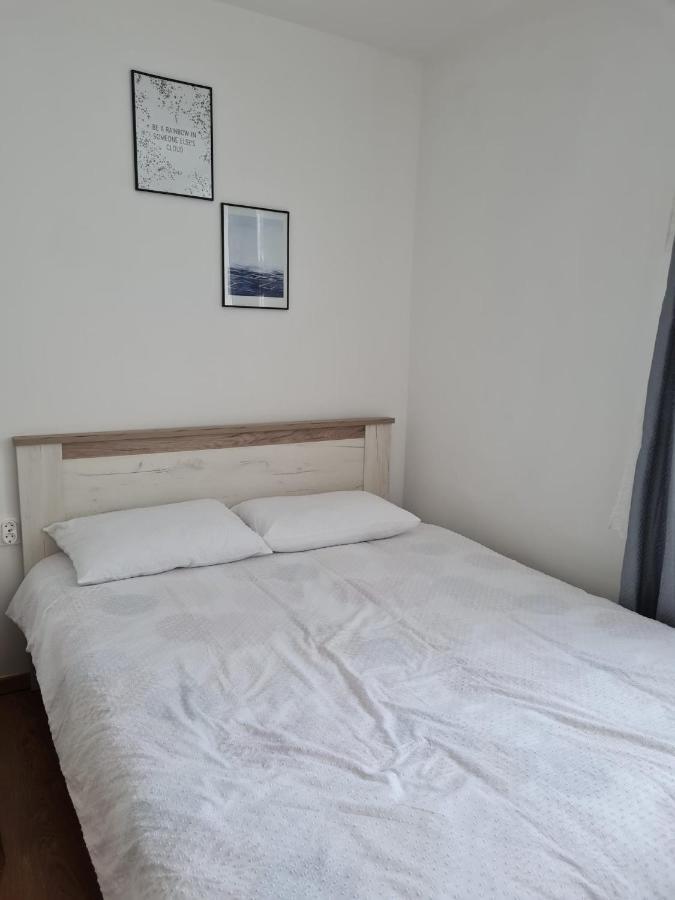 Dddd Apartament Cavnic Exteriör bild