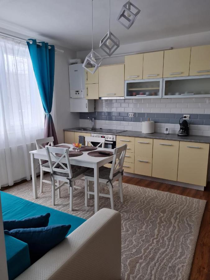 Dddd Apartament Cavnic Exteriör bild