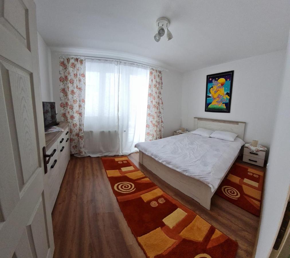 Dddd Apartament Cavnic Exteriör bild
